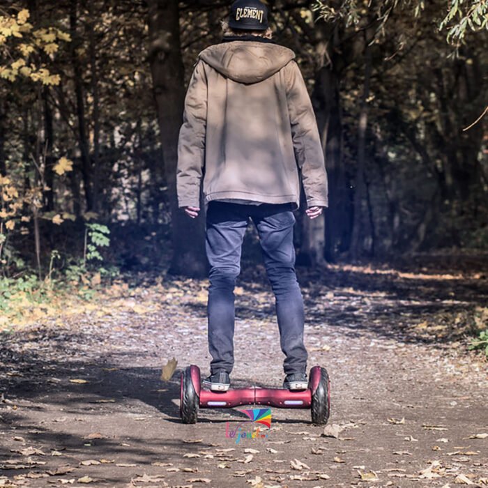 Le Nouveau tout terrain hoverboard 10 pouces Bluetooth 2