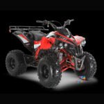 LUXURY ATV Quad SPORTRAX 125cc Semi-automatique renforcé