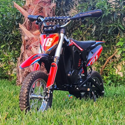 Moto-cross tout-terrain 36v12ah 1000watts