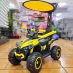 3 en 1 Porteur Enfants Voiture à Pousser 921P