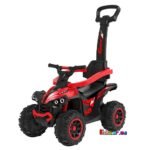 Voiture à Pousser 3 en 1 - Porteur Bébé - 921